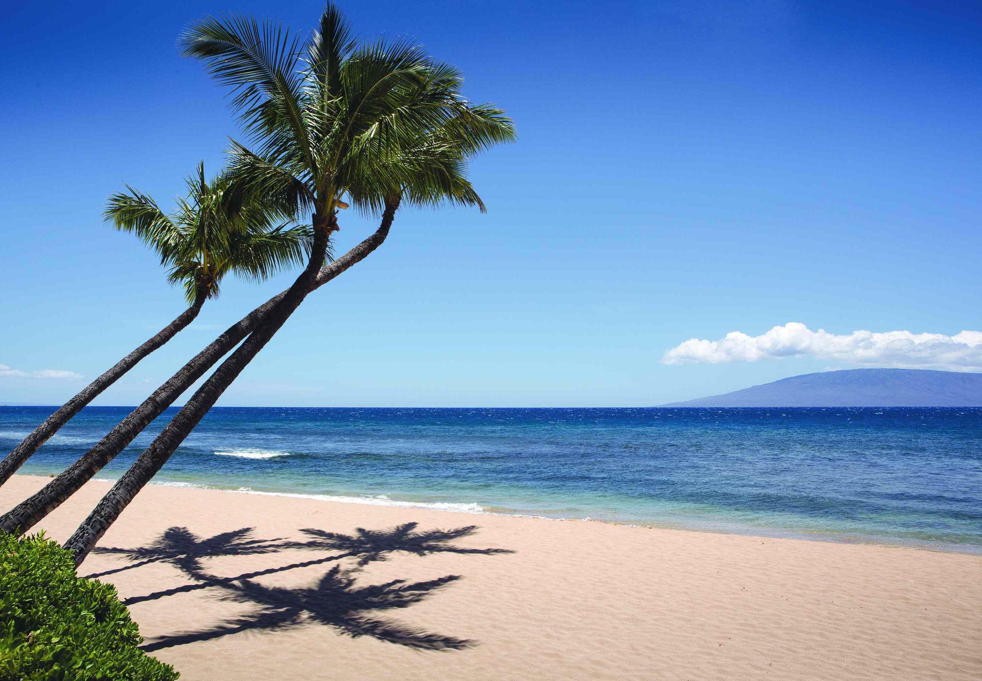 Hotel Marriott'S Maui Ocean Club - Molokai, Maui & Lanai Towers Lahaina Esterno foto